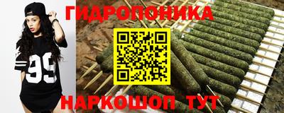 ECSTASY Боровичи
