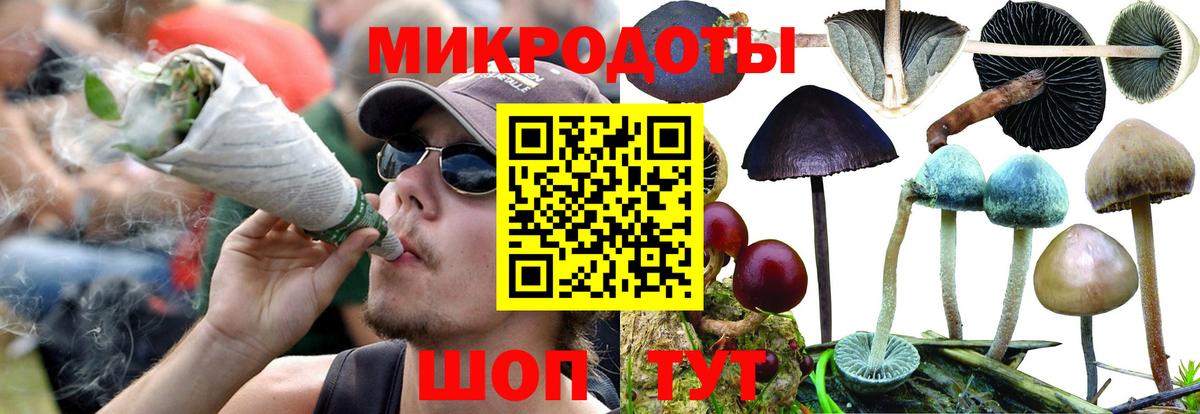 Псилоцибиновые грибы GOLDEN TEACHER Ачхой-Мартан