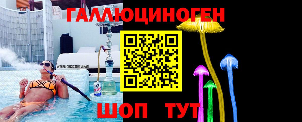 Галлюциногенные грибы Magic Shrooms  Вход с VPN  Ачхой-Мартан 